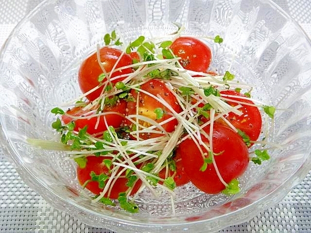 プチトマトとスプラウトのサラダ