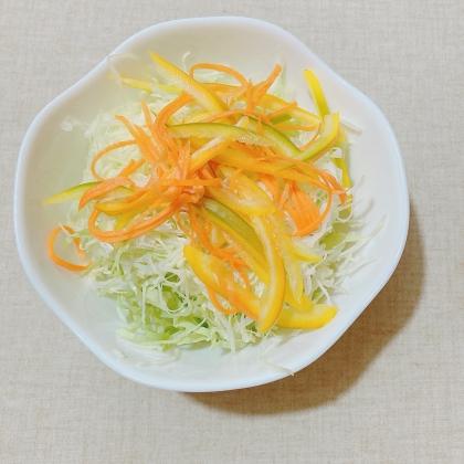 野菜サラダ