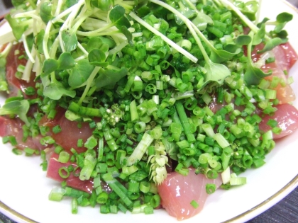 美味しく ふくらぎのお刺身 レシピ 作り方 By 寝虎太郎 楽天レシピ 美味しく ふくらぎのお刺身 レシピ 作り方 By 寝虎太郎 楽天レシピ