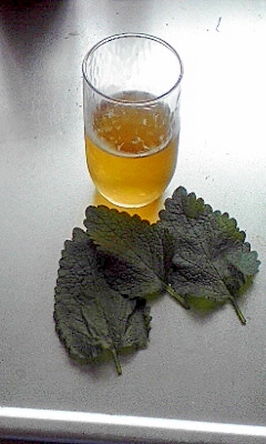 レモンバームのハーブティー レシピ 作り方 By かも00 楽天レシピ レモンバームのハーブティー レシピ 作り方 By かも00 楽天レシピ