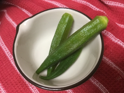 オクラの漬物美味しいですね！
美味しくてすぐに食べてしまいました。
お弁当のおかずに入れました。