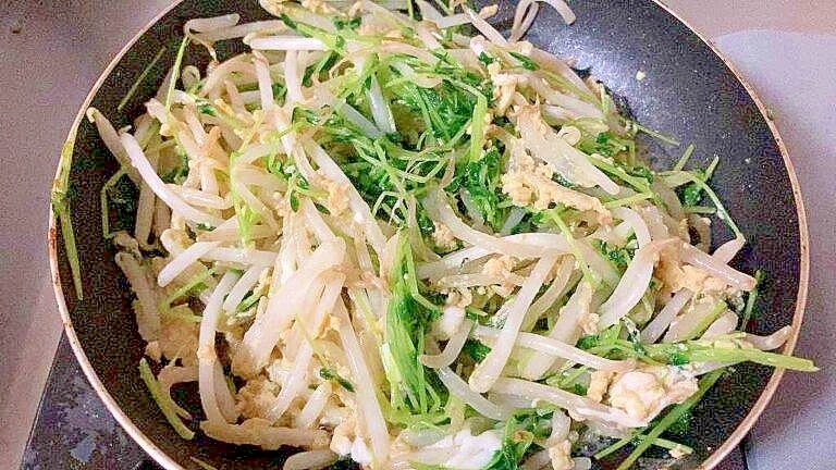 【素朴飯】豆苗と卵ともやしの麺つゆ炒め