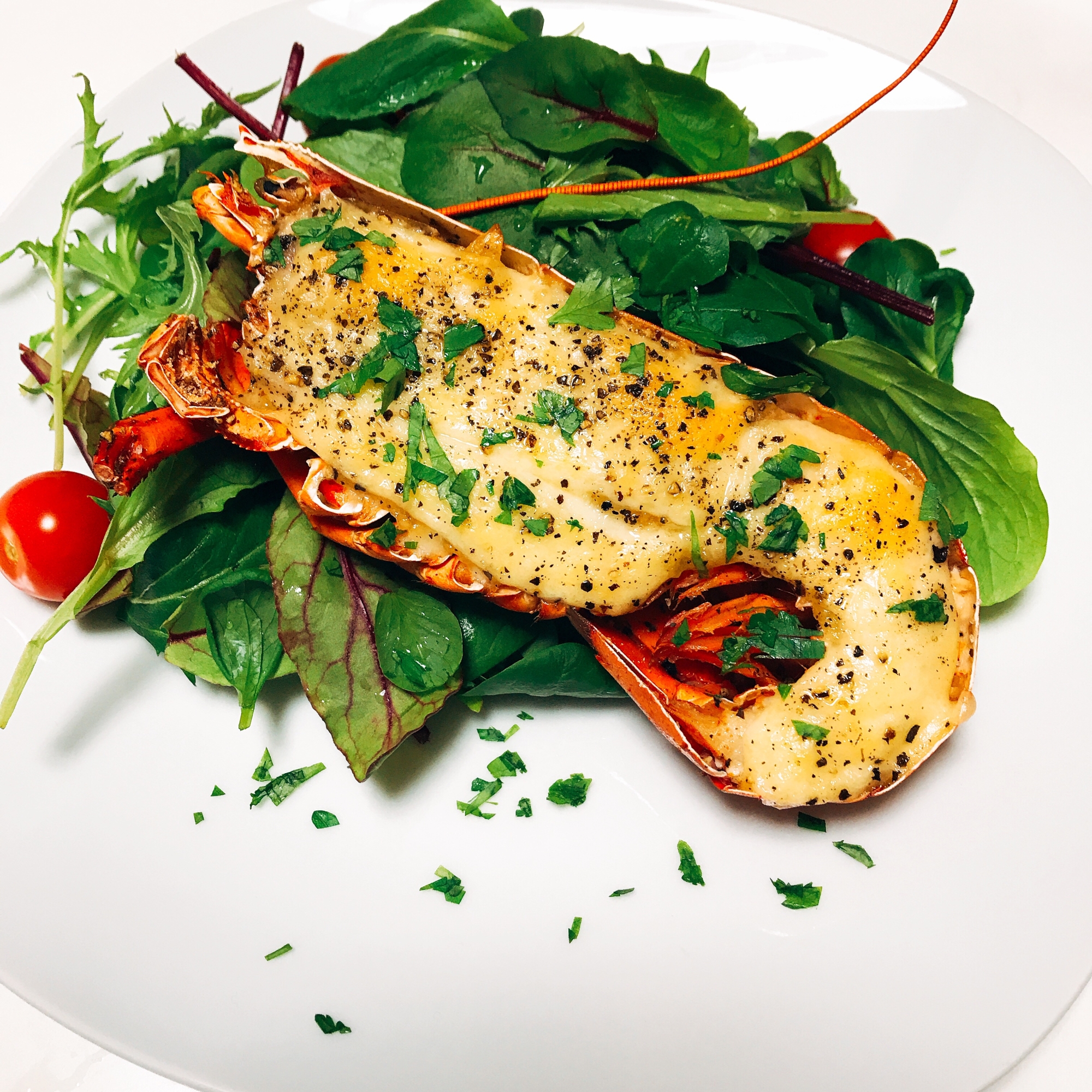 高級食材 オマール海老のタルタルグラタン焼き レシピ 作り方 By たかきまる 楽天レシピ 高級食材 オマール海老のタルタルグラタン焼き レシピ 作り方 By たかきまる 楽天レシピ