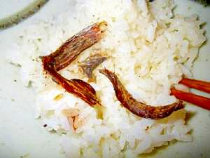 一人暮らしの干しワラスボ飯 レシピ 作り方 By ピヨ採る 大抵 楽天レシピ 一人暮らしの干しワラスボ飯 レシピ 作り方 By ピヨ採る 大抵 楽天レシピ