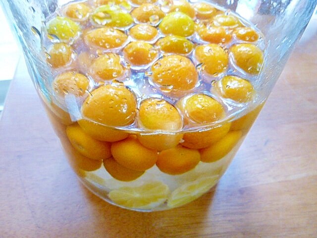 金柑 酒 の 作り方