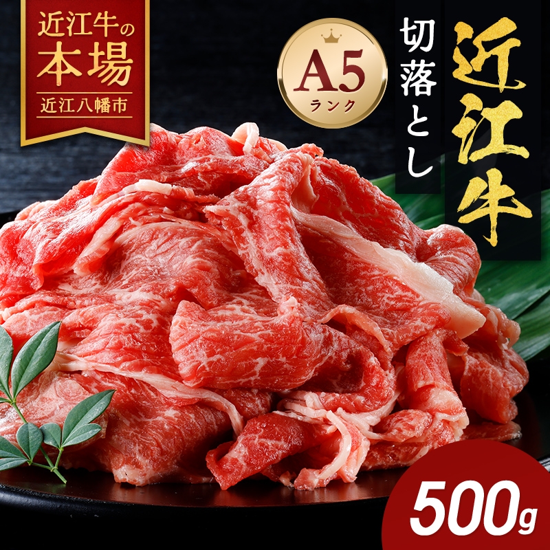 【 ふるさと納税 】 近江牛 A5ランク 切落し 500g