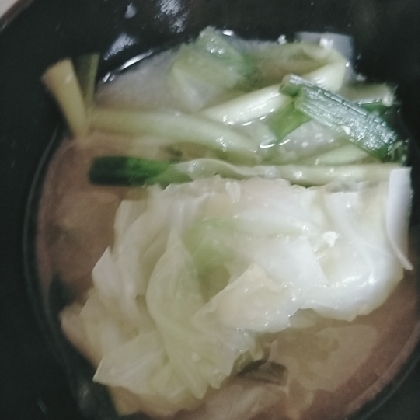 みそ汁☆白菜とニラ
