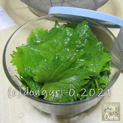 青じそ消費 大葉のごま油漬け レシピ 作り方 By どんぐり0番地 楽天レシピ 青じそ消費 大葉のごま油漬け レシピ 作り方 By どんぐり0番地 楽天レシピ