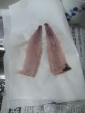 釣り魚 コノシロの酢漬け レシピ 作り方 By ゆみぽぽぽぽーん 楽天レシピ 釣り魚 コノシロの酢漬け レシピ 作り方 By ゆみぽぽぽぽーん 楽天レシピ