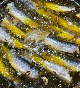 Qmv14q Owxhxm Qmv14q Owxhxm