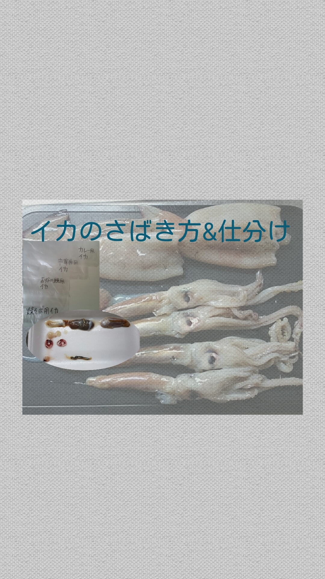 イカのさばき方 仕分け レシピ 作り方 By 所沢とっくん 楽天レシピ イカのさばき方 仕分け レシピ 作り方 By 所沢とっくん 楽天レシピ