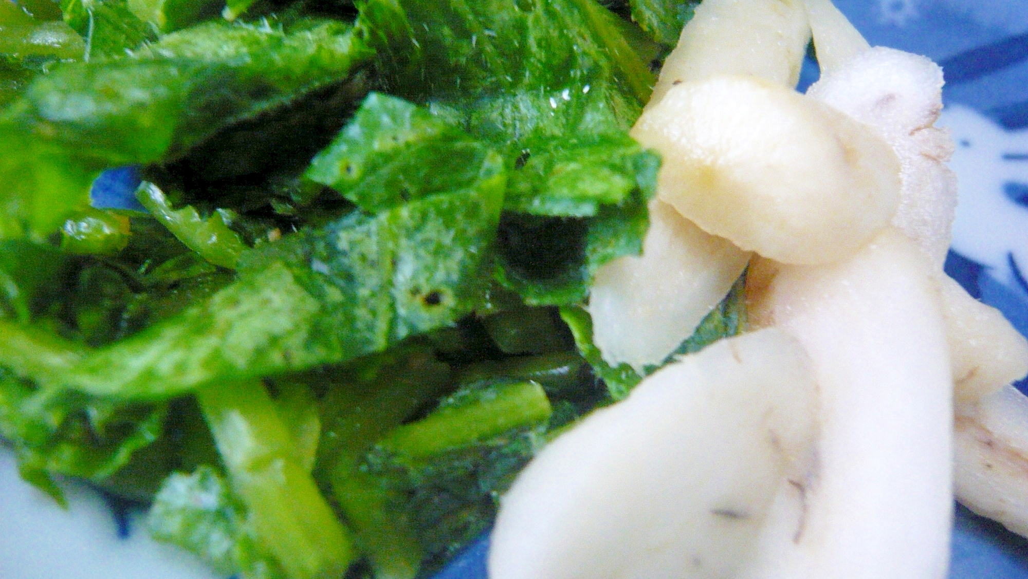 間引き大根 大根葉で簡単浅漬け レシピ 作り方 By ひろりん1106 楽天レシピ 間引き大根 大根葉で簡単浅漬け レシピ 作り方 By ひろりん1106 楽天レシピ