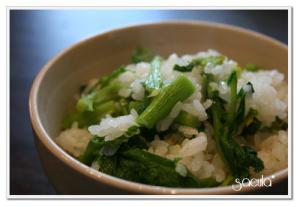 さっぱり美味しい「　菜の花ご飯　」