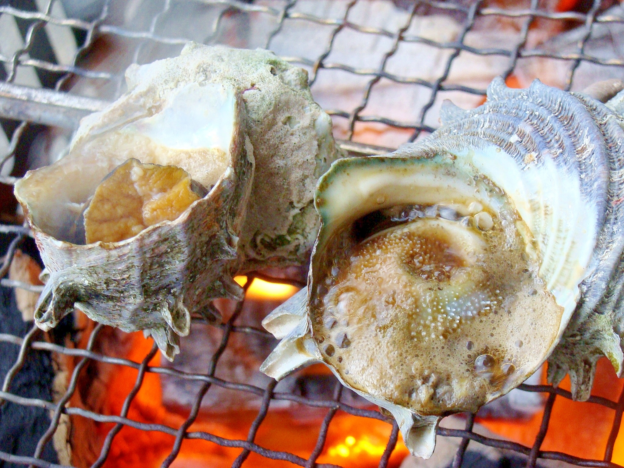 サザエの焼き方 楽天レシピ