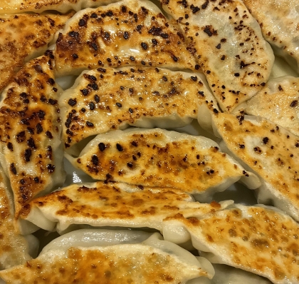 栃木県民が伝授！餃子