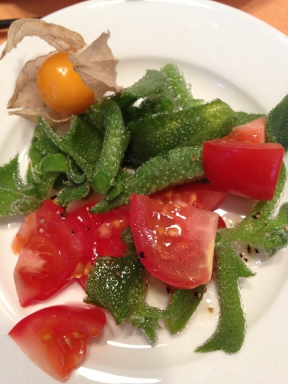 アイスプラントって本当にキレイですね。ほのかに塩味で美味しかったです。