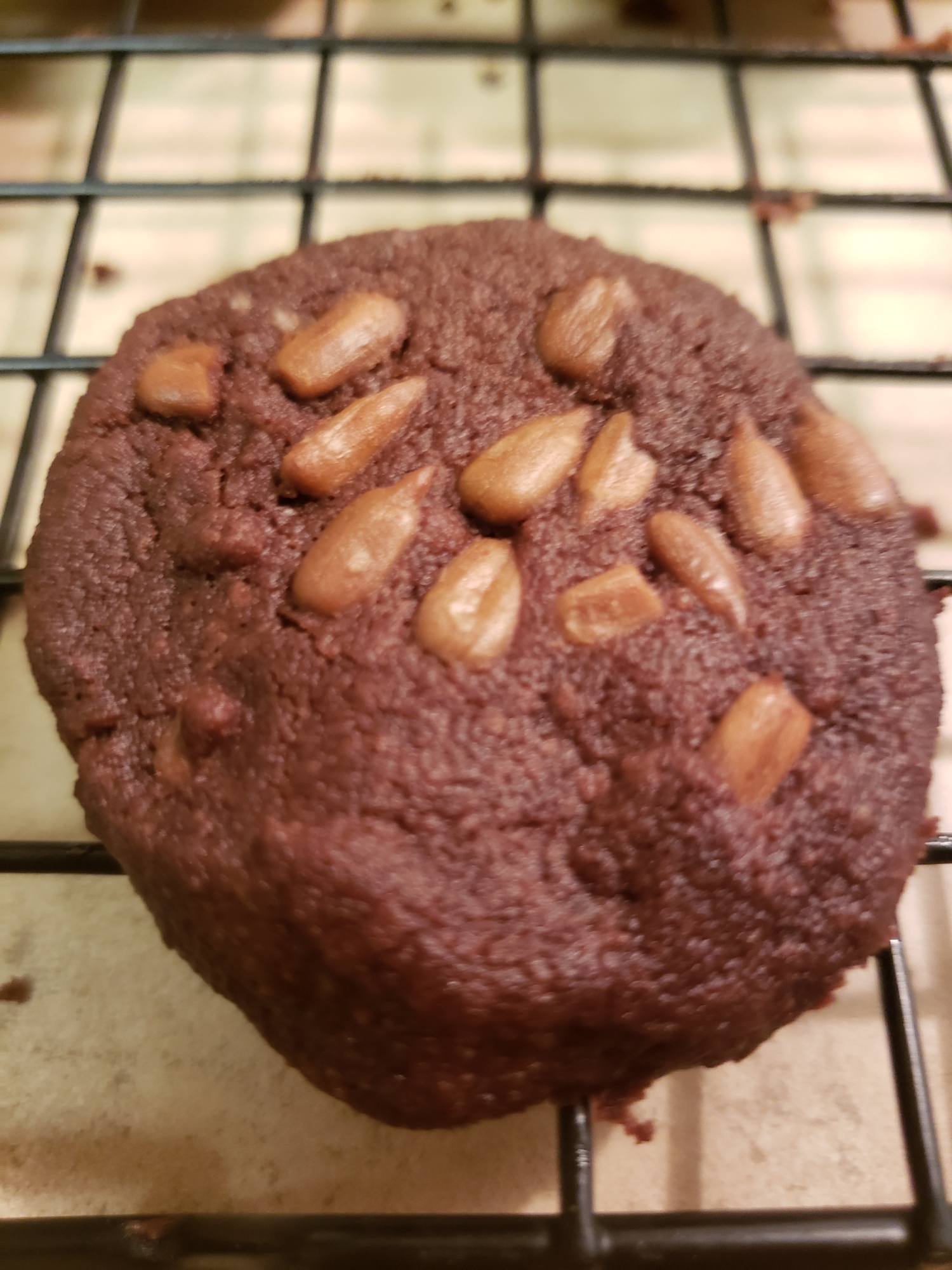 ひまわりの種のココアクッキー