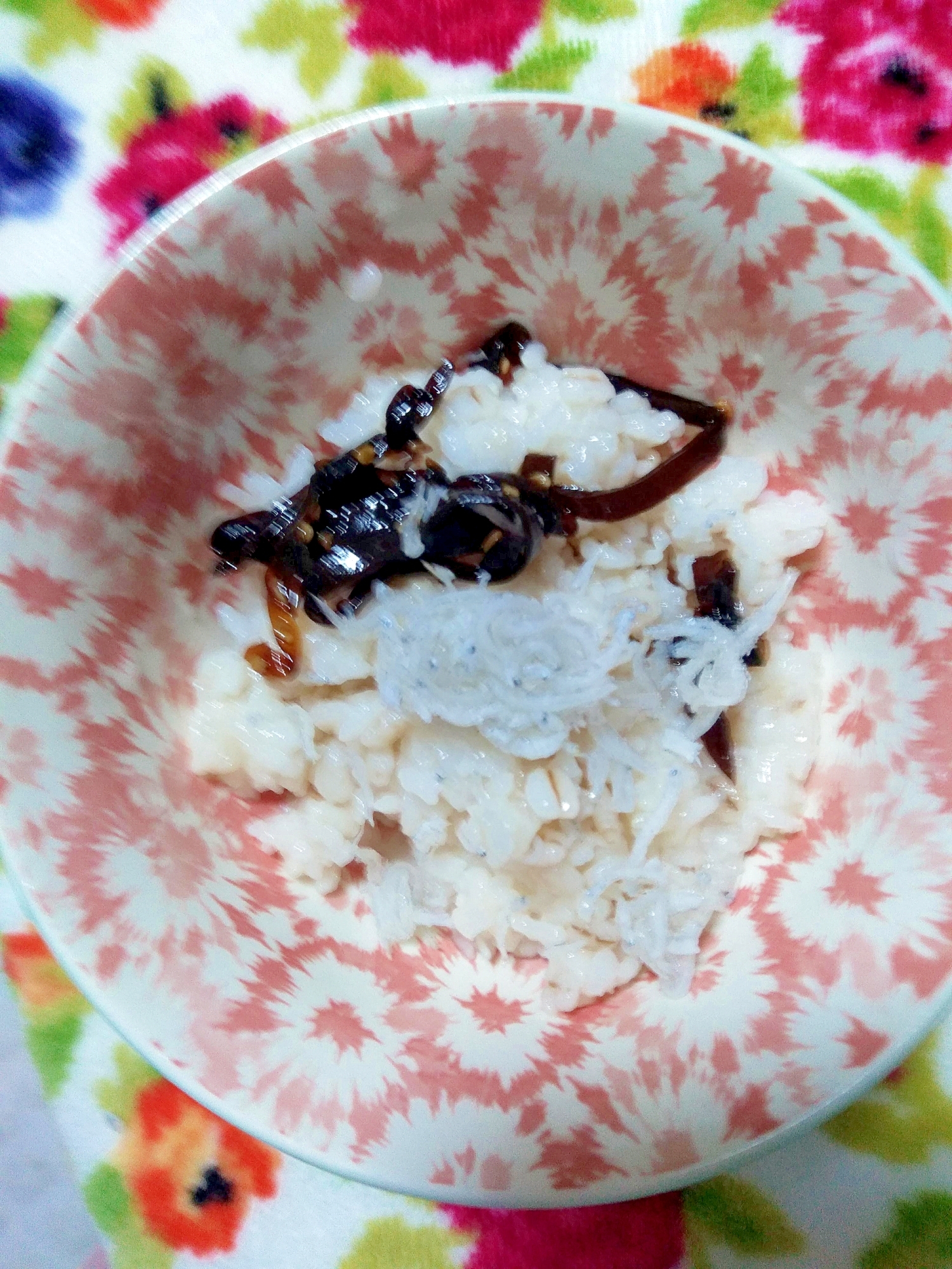 簡単飯～佃煮昆布としらす飯～お茶漬け