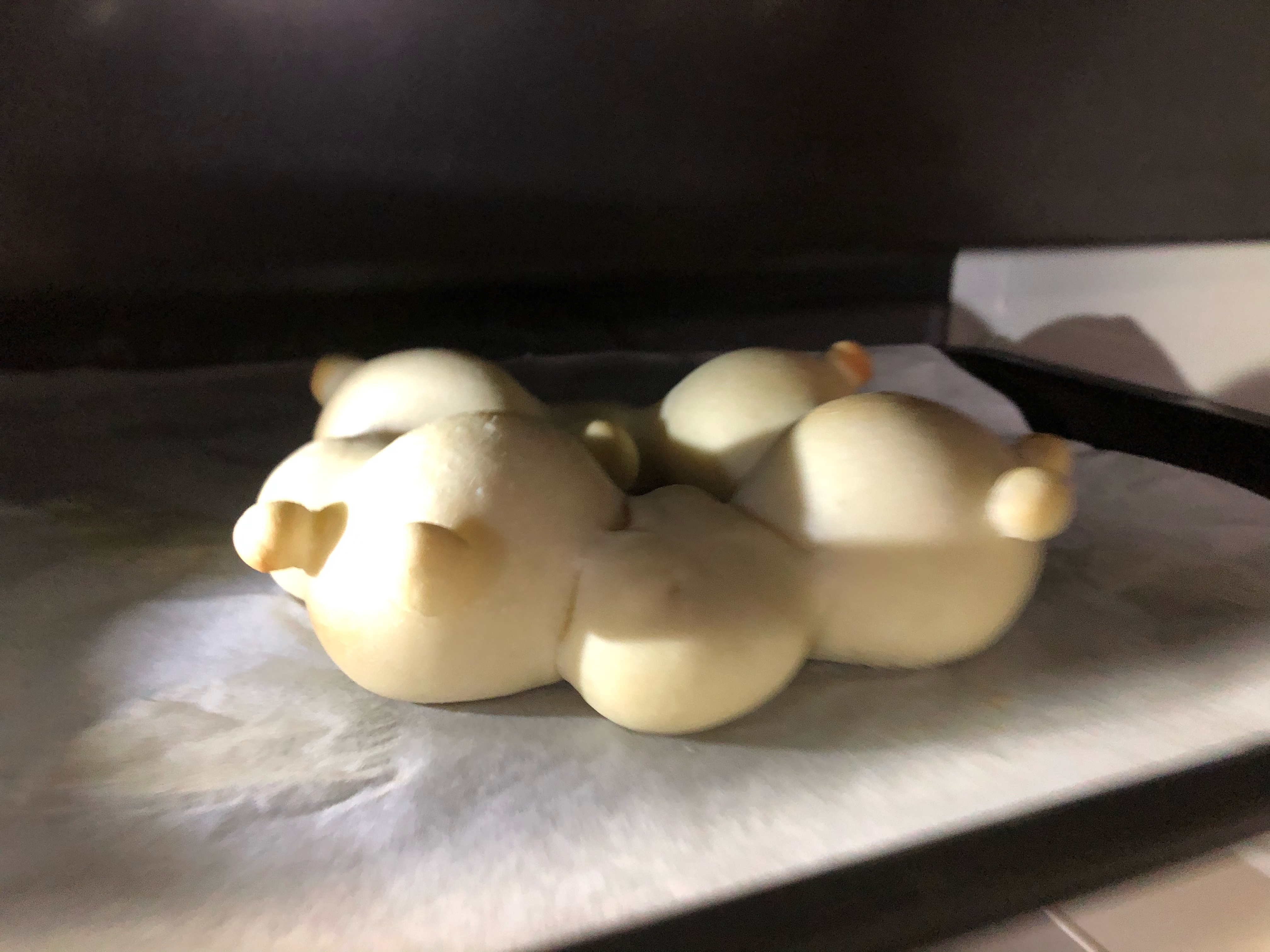 りすのちぎりパン 簡単なのに可愛い レシピ 作り方 By 善ちゃん 楽天レシピ りすのちぎりパン 簡単なのに可愛い レシピ 作り方 By 善ちゃん 楽天レシピ