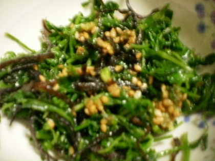 再収穫の豆苗で金ゴマを煎って指でねじりつぶしながら加え塩昆布とで美味しかったです。