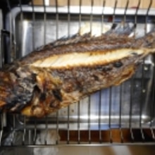 黒ソイの塩焼き おろしポン酢だれ レシピ 作り方 By Mococo05 楽天レシピ 黒ソイの塩焼き おろしポン酢だれ レシピ 作り方 By Mococo05 楽天レシピ