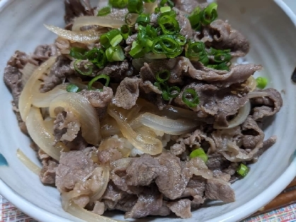 まるで吉野家のような牛丼