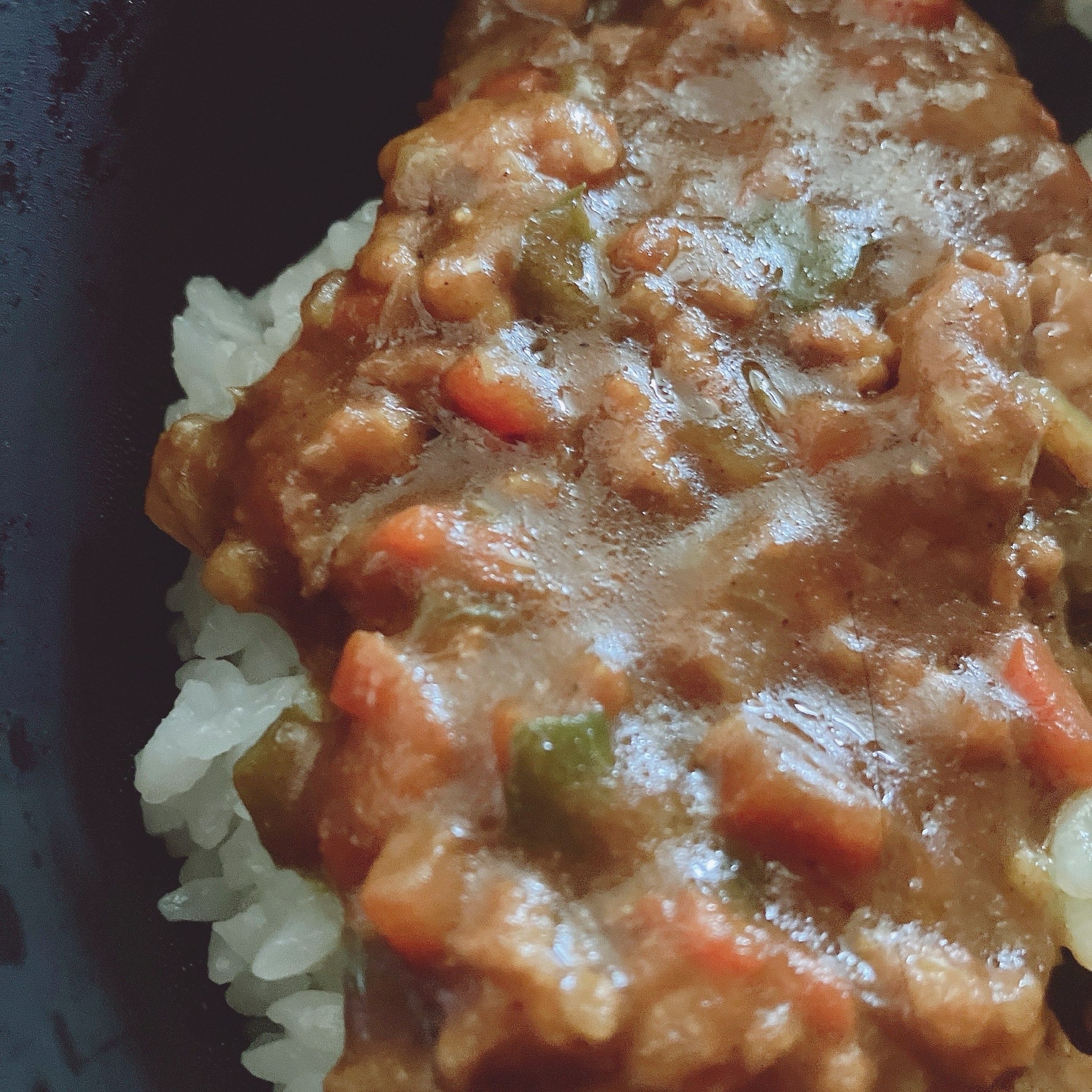 ◎簡単ドライカレー
