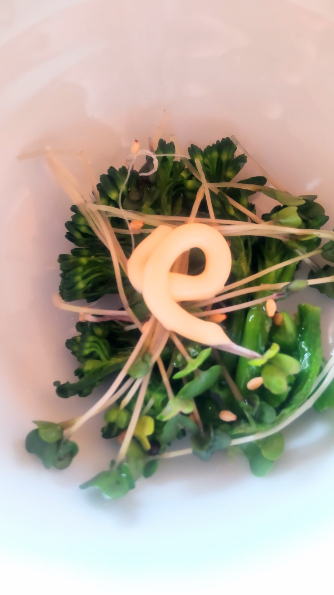 ブロッコリー&スプラウト