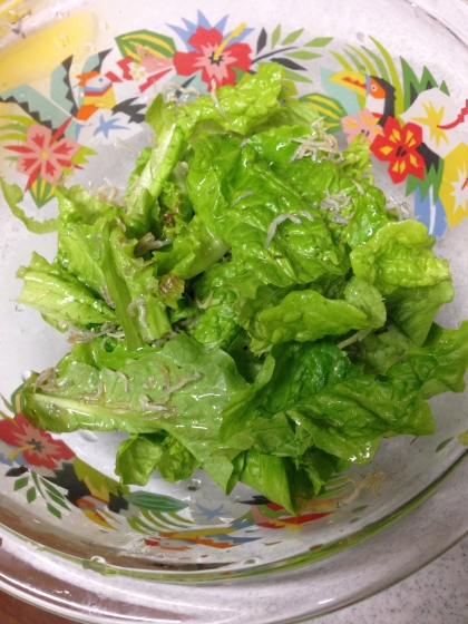 葉物野菜だけなのに、香ばしい胡麻とおじゃこでとっても美味しかったです！  あっという間になくなりました♡