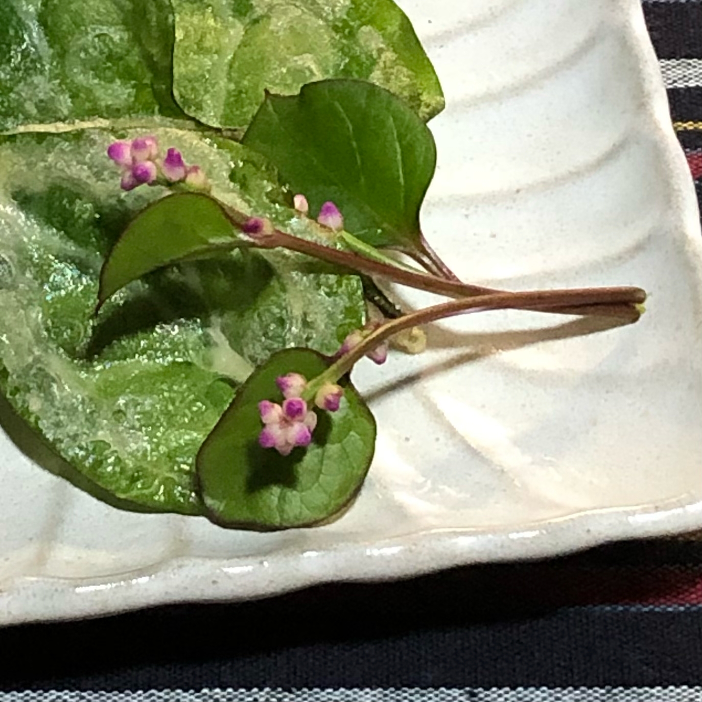 冷めてもおいしい つるむらさきの葉の天ぷら レシピ 作り方 By Yayucoti 楽天レシピ