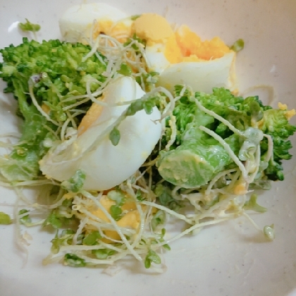 デリ風♡ブロッコリーと卵の明太子マヨネーズサラダ