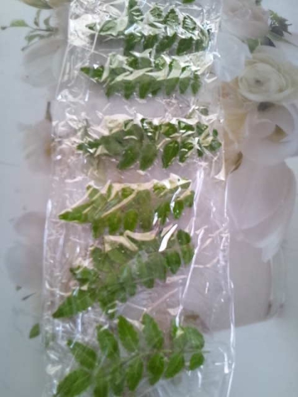 山椒の葉の保存 レシピ 作り方 By Chaachan6066 楽天レシピ 山椒の葉の保存 レシピ 作り方 By Chaachan6066 楽天レシピ