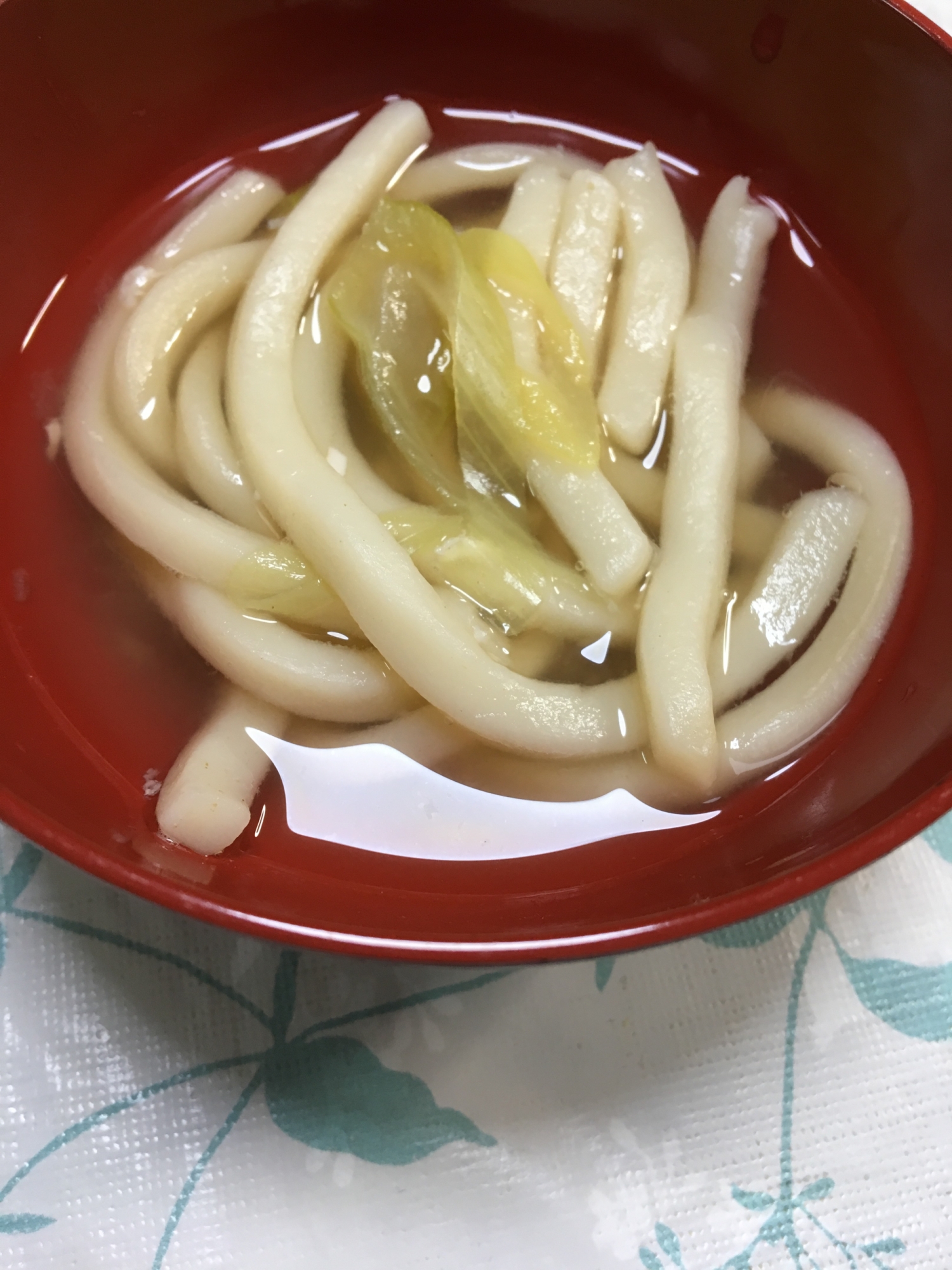 シンプル♪シンプル♪白葱のうどん(*^^*)