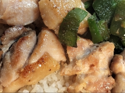 鶏もも肉とピーマンの野菜炒めの弁当