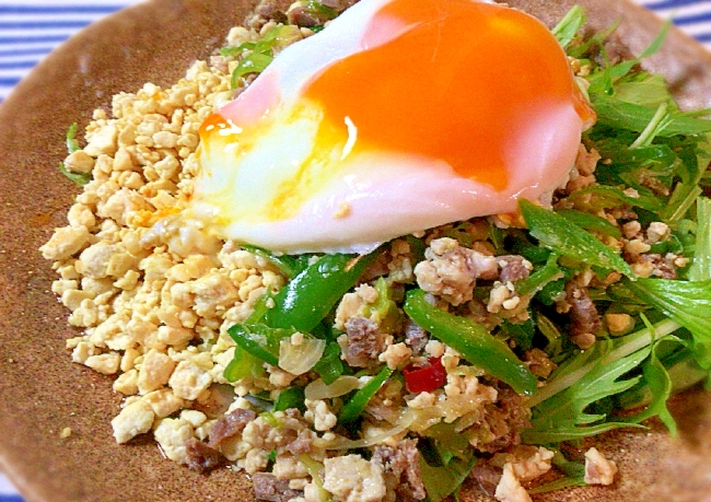 最高に美味しいソイライス&ガパオライス(糖質制限)
