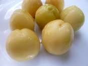 花桃 しだれ桃 の実のコンポート レシピ 作り方 By 身の茸335 楽天レシピ 花桃 しだれ桃 の実のコンポート レシピ 作り方 By 身の茸335 楽天レシピ