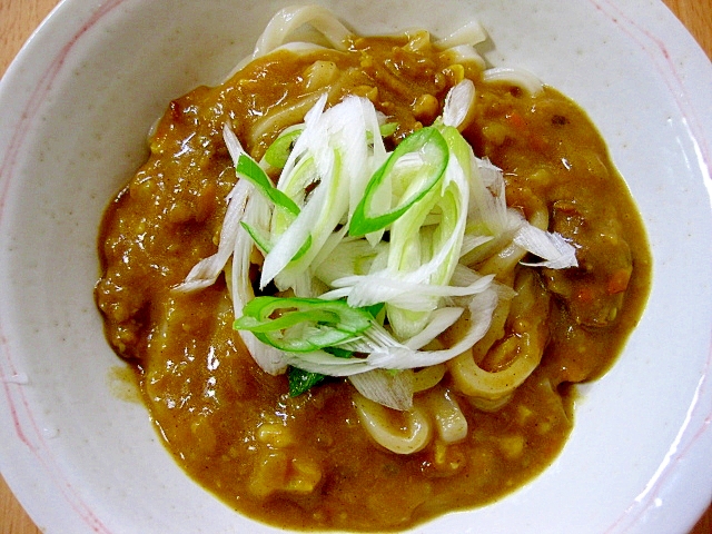 牛肉入りカレーうどん