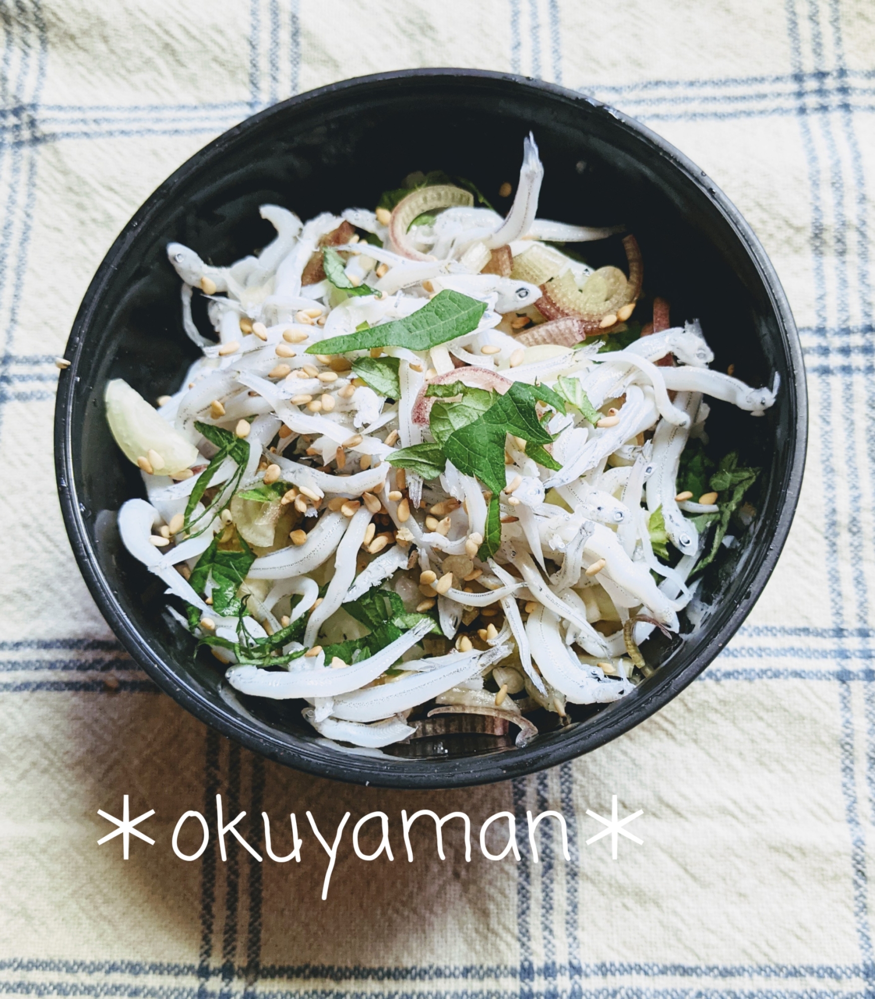 手抜な＊しらすとみょうがの丼