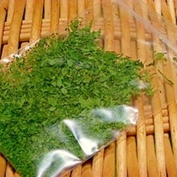 ハーブ屋さんのハーブ保存法 イタリアンパセリ編 レシピ 作り方 By ブルーボリジ 楽天レシピ ハーブ屋さんのハーブ保存法 イタリアンパセリ編 レシピ 作り方 By ブルーボリジ 楽天レシピ