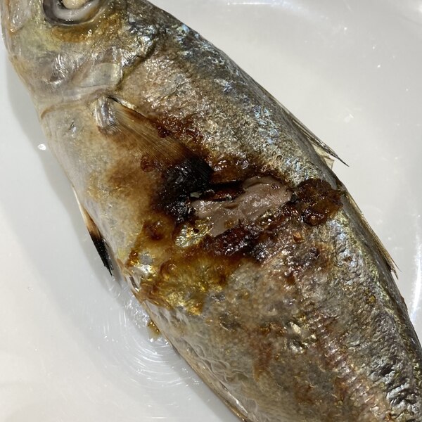 冷凍塩漬け真あじのパリパリ塩焼き レシピ 作り方 By へんてこへんてこママ 楽天レシピ 冷凍塩漬け真あじのパリパリ塩焼き レシピ 作り方 By へんてこへんてこママ 楽天レシピ