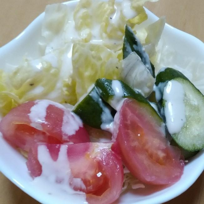 白菜・胡瓜・トマトのサラダ