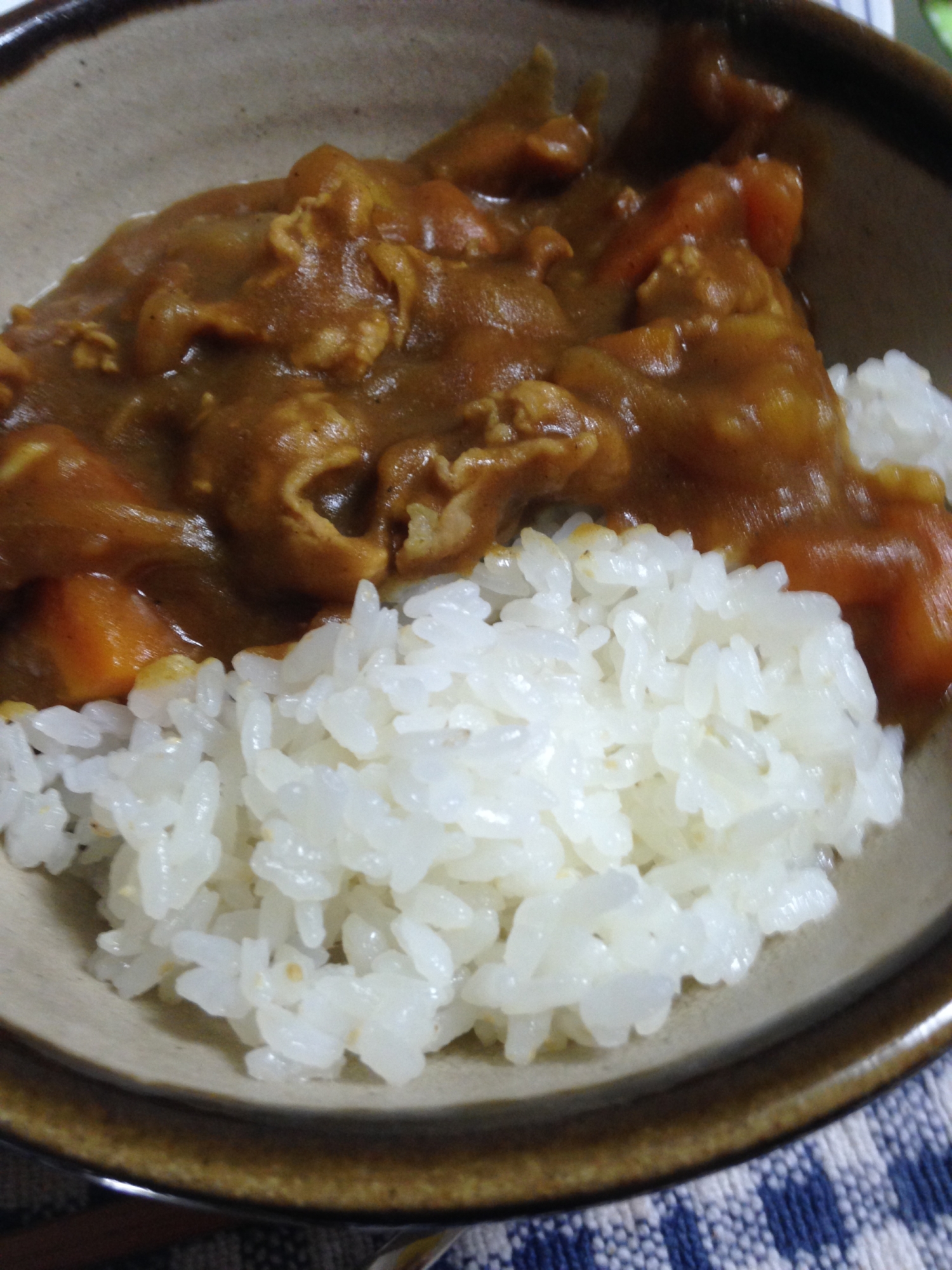 豚肉と人参のとんかつソース入りカレー