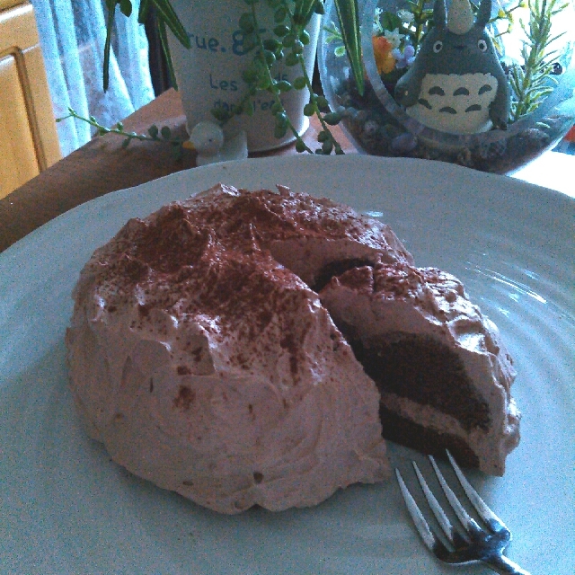 糖質制限 小麦粉不使用 Wココアおからレンジケーキ レシピ 作り方 By Maru San 楽天レシピ 糖質制限 小麦粉不使用 Wココアおからレンジケーキ レシピ 作り方 By Maru San 楽天レシピ