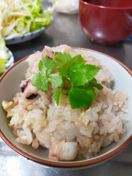 簡単で美味しく食べました。タコは冷凍タコでしたが、美味しかったです。餅を次回は小さく切ろうと思いました。結構混ざりにくく餅部分だけ塊ベチャ感ありました。