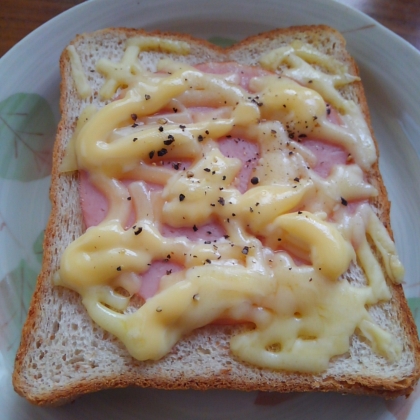 パン屋さんのパンのようですごくおいしかったです！マヨネーズと黒胡椒がゴージャスにしてくれました！