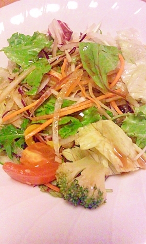いろいろ野菜の健康サラダ