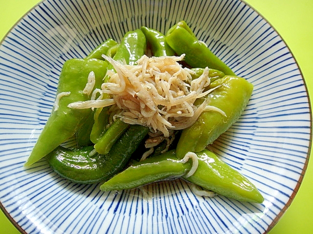 万願寺唐辛子としらすの煮物