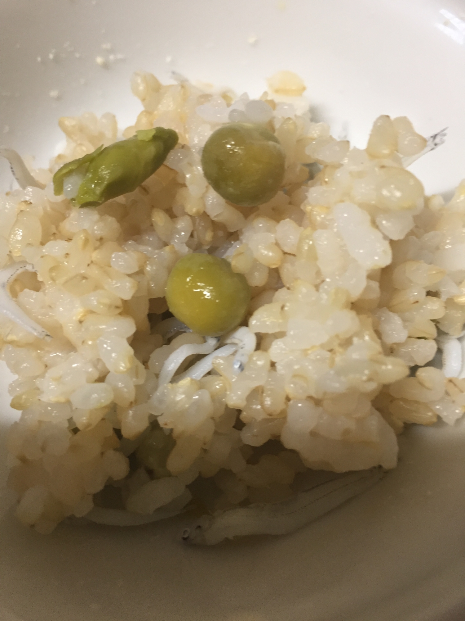 シラス入りのシンプル玄米豆ご飯！