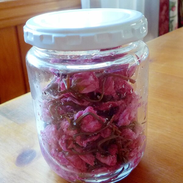 桜の花の塩漬け レシピ 作り方 By すわんのマーチ 楽天レシピ 桜の花の塩漬け レシピ 作り方 By すわんのマーチ 楽天レシピ