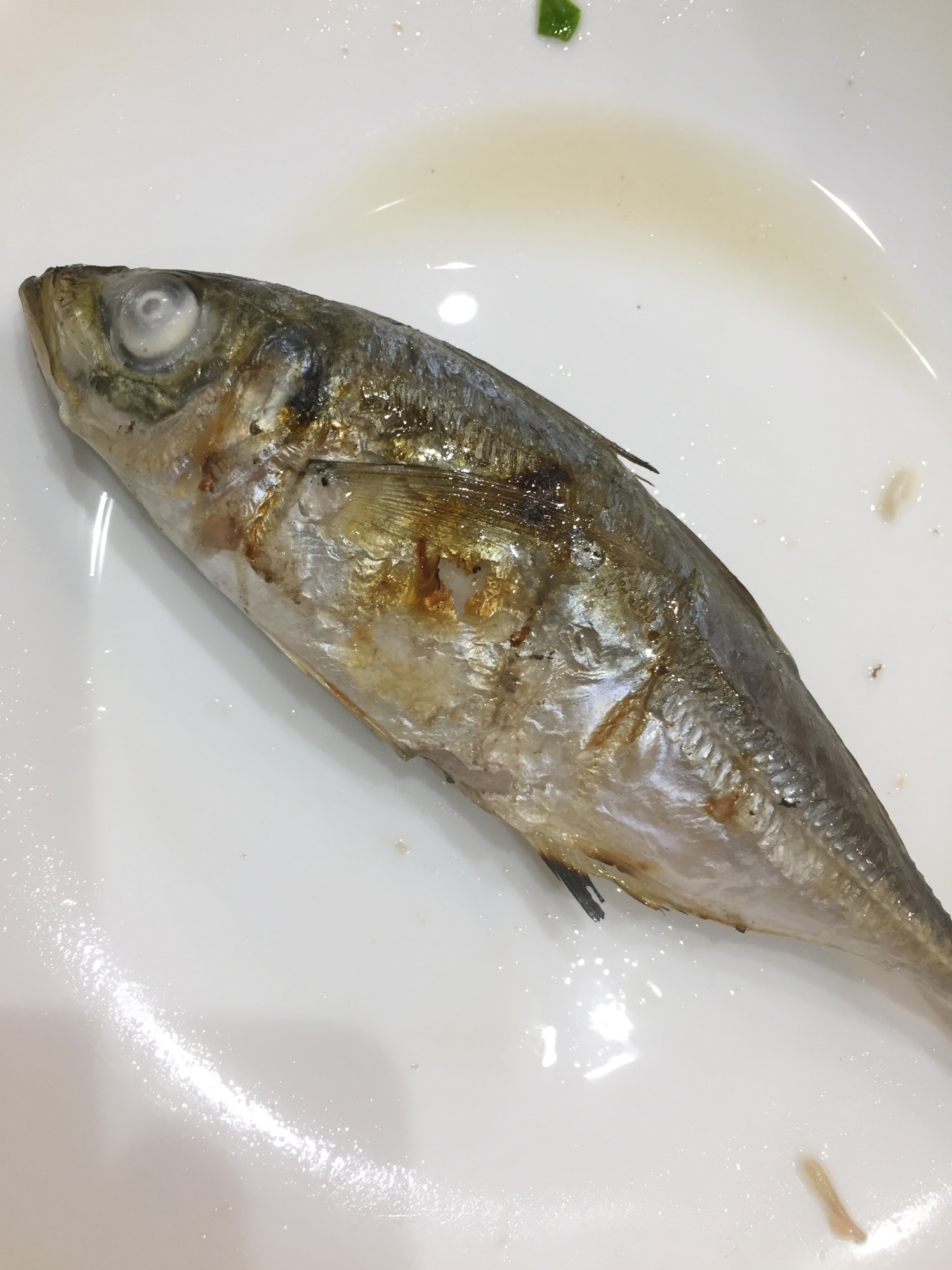 鯵のレモンオリーブオイル焼き レシピ 作り方 By へんてこへんてこママ 楽天レシピ